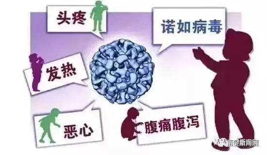 诺如病毒高发季感染态势及其影响深度解析