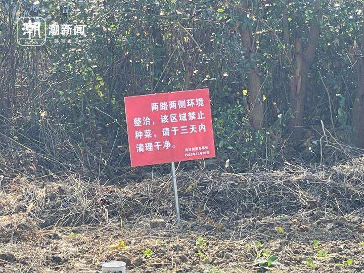 街道办回应菜地被插牌禁止栽种，背后的秘密与回应揭秘