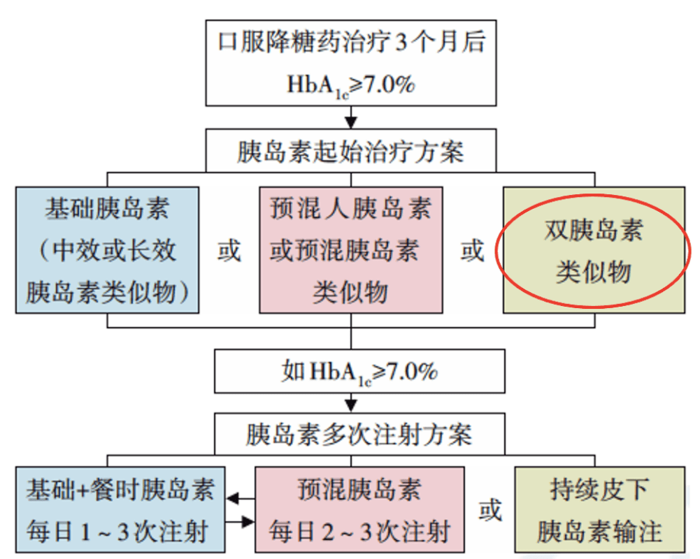 郑召玉最新比赛深度解读与观点分享