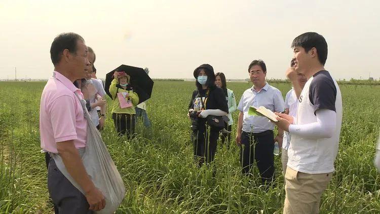 河北今日小麦最新价格，时代的见证与实时市场动态