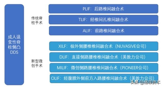 “2024年澳门精准一马中特，构建评分体系——MGW44.1中级版”