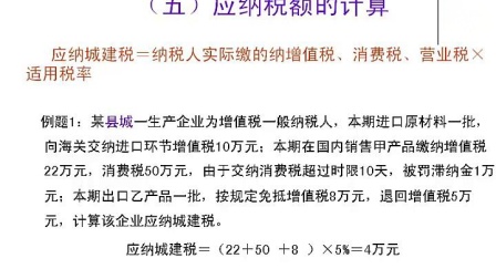 城建税减免最新政策详解及优惠概览