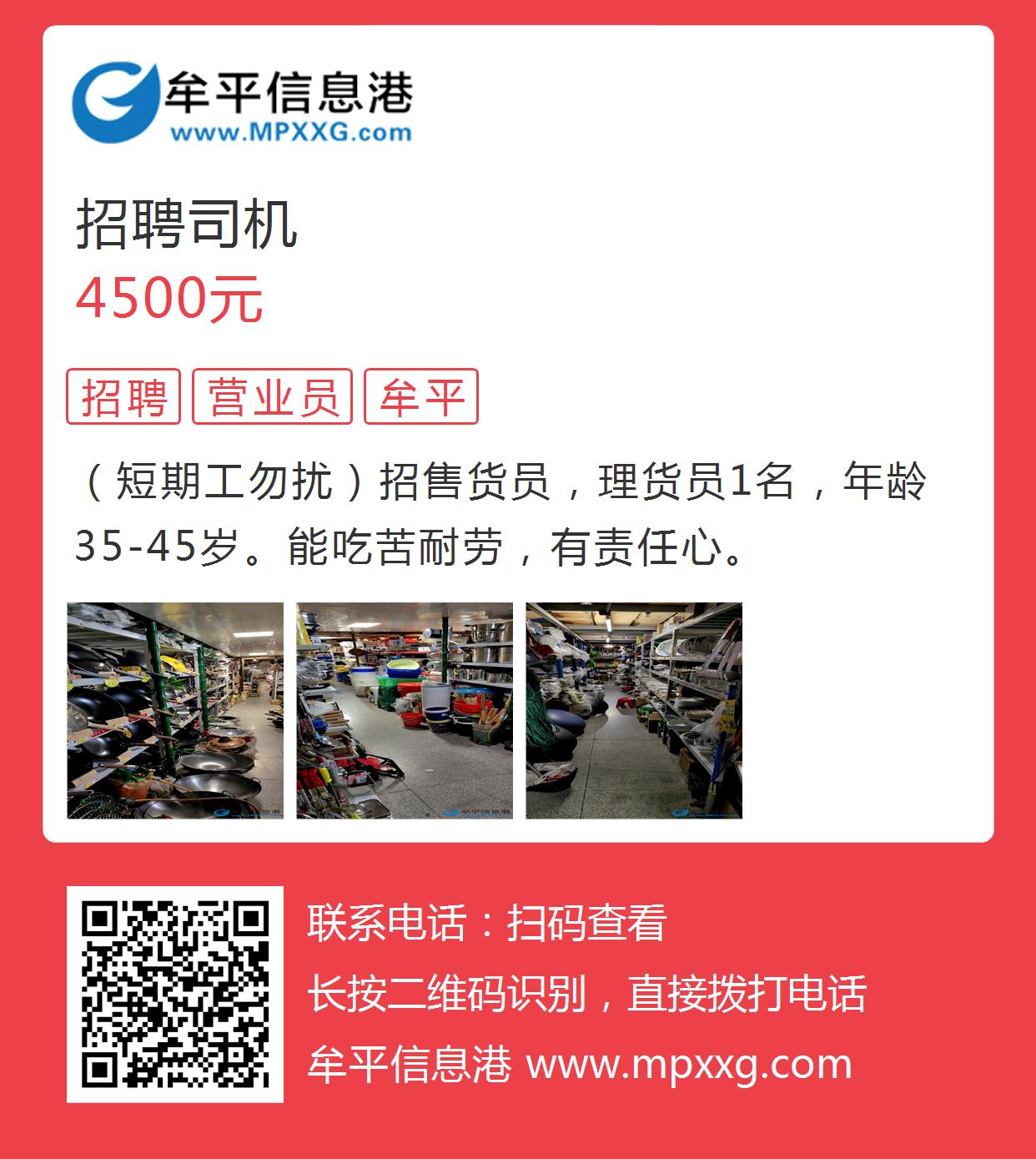 平原最新信息港招工，友情、梦想与家的温馨交汇点