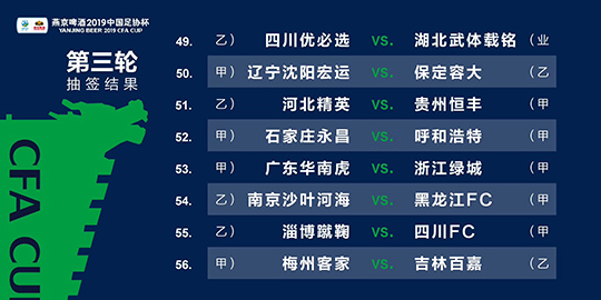 新澳精准资料免费提供221期，可靠计划策略执行_战斗版95.88.35