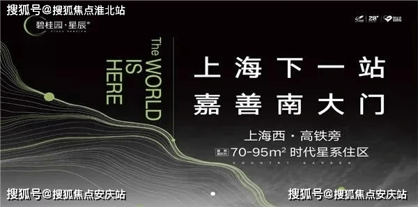 2024澳门天天精选精准24码，评估解析版ZJB865.81