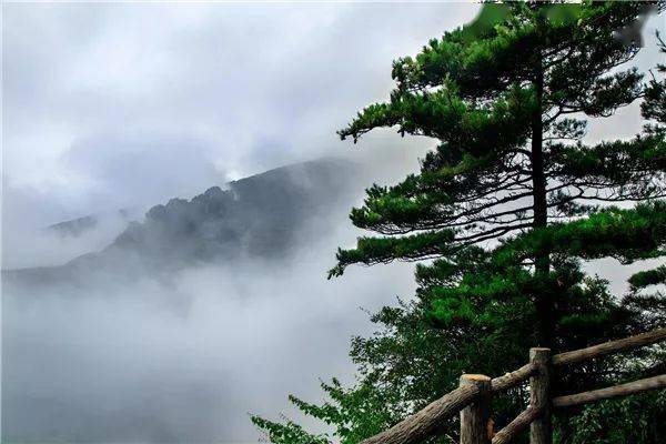 林云最新章节，自然美景的邂逅与内心平和之旅免费阅读