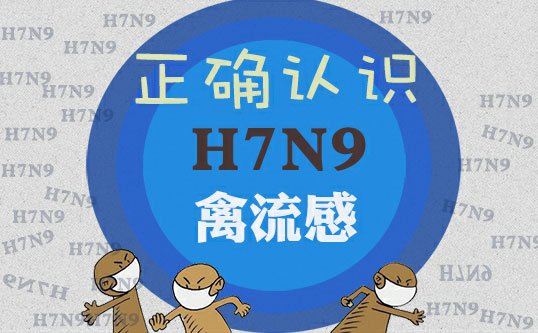 浙江禽流感最新动态与温馨日常故事回顾