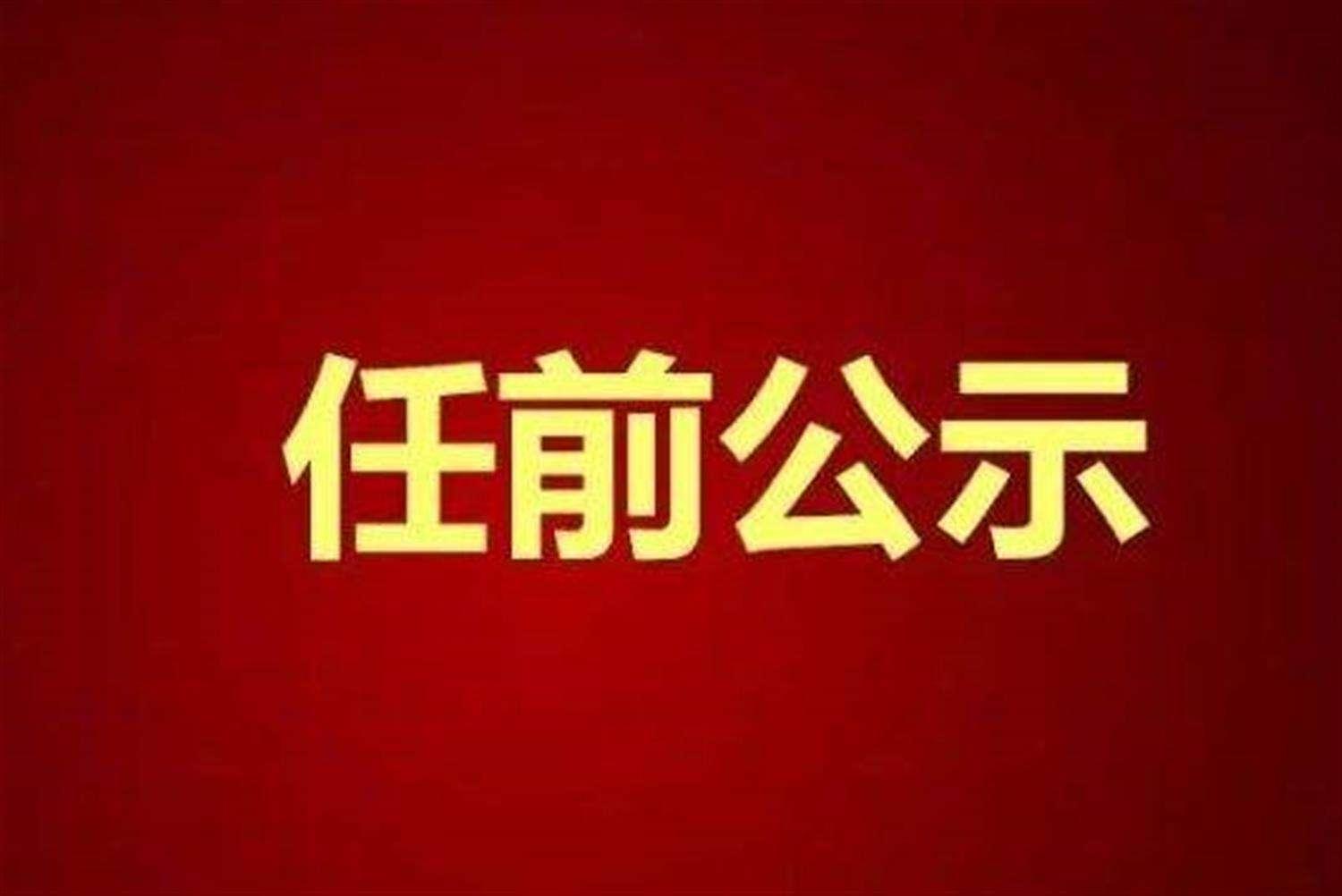 中央最新任免决定，时代的领航者引领未来方向