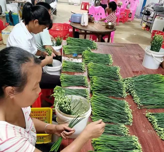 怀集冷坑最新规划揭秘，小巷中的意外发现