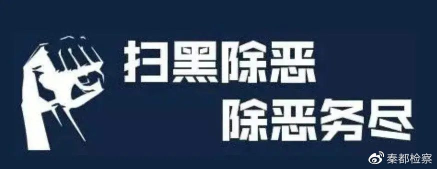 黑恶势力最新认定标准，深度解读与案例分析揭秘最新认定标准背后的含义与实际应用场景