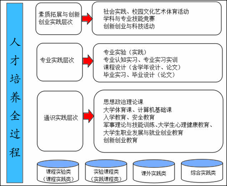 最新伦理实践指南与技能学习步骤全解析