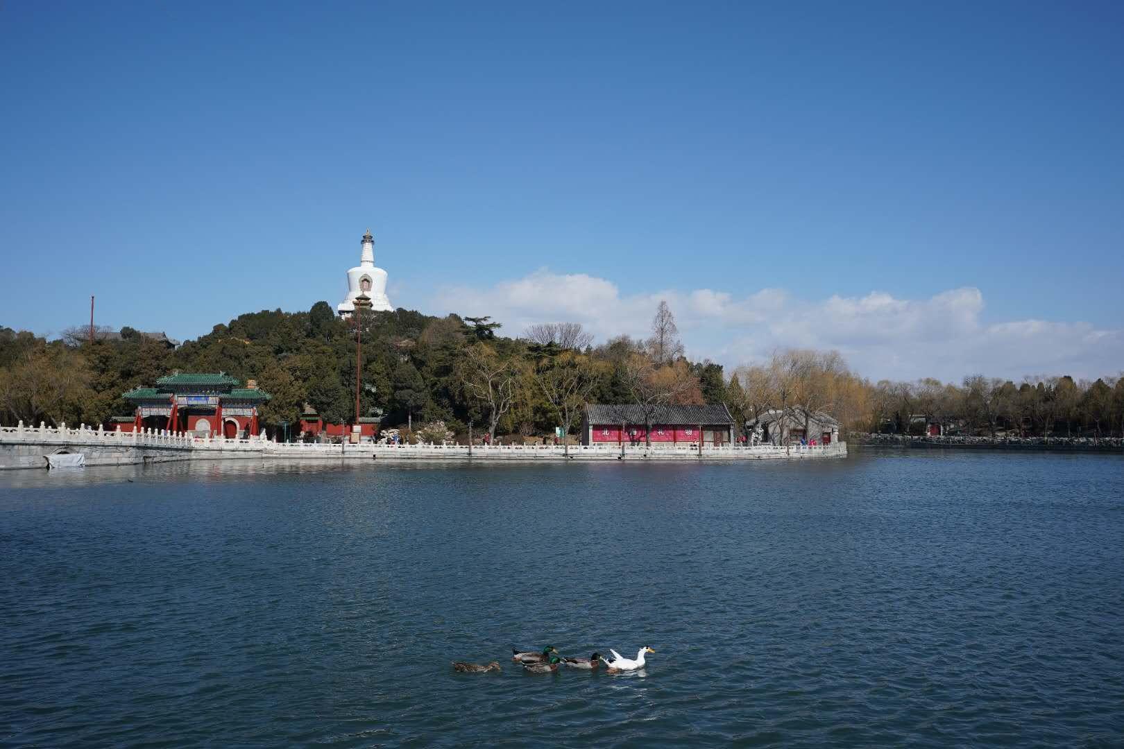 北京最新天气预报更新🌦️