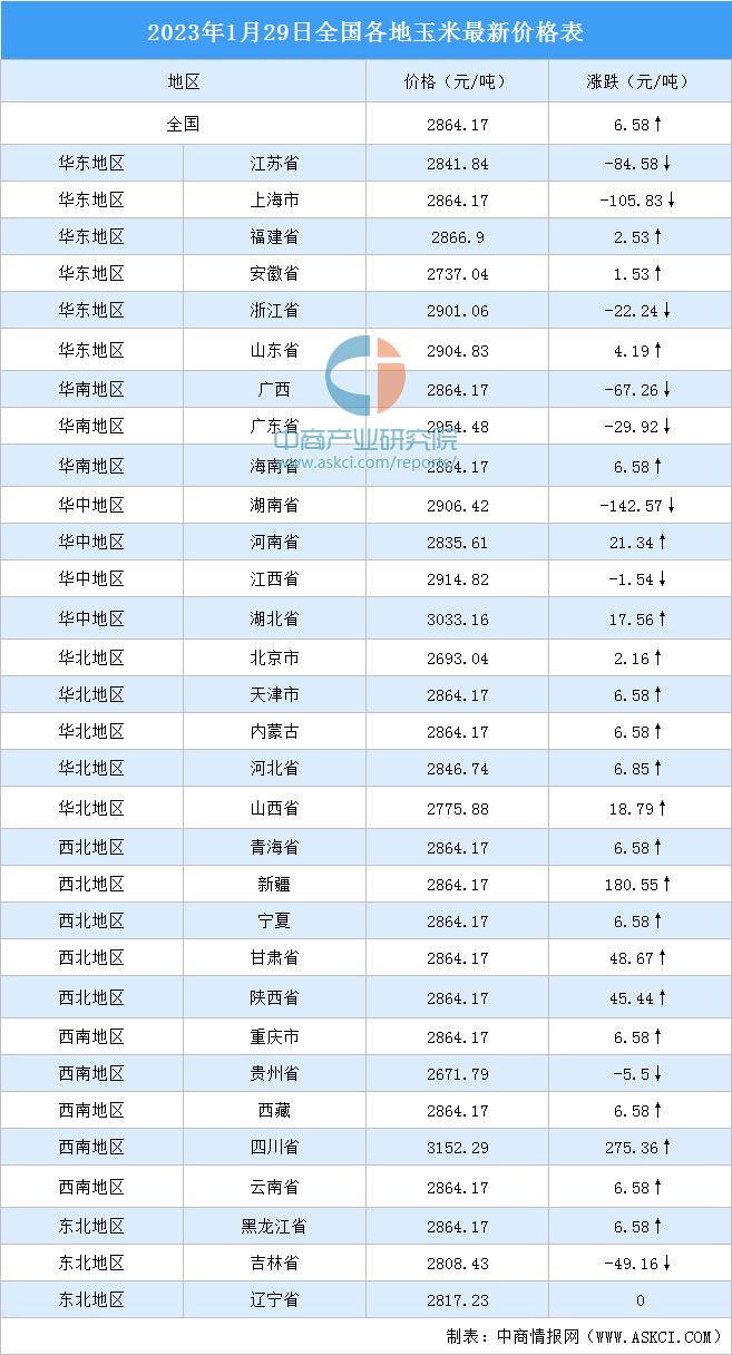 今日玉米价格最新动态，洞悉市场走势的权威消息