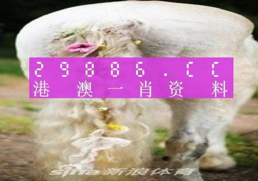 澳门四不像精准一肖一码,实地观察解释定义_EZK37.236精密版