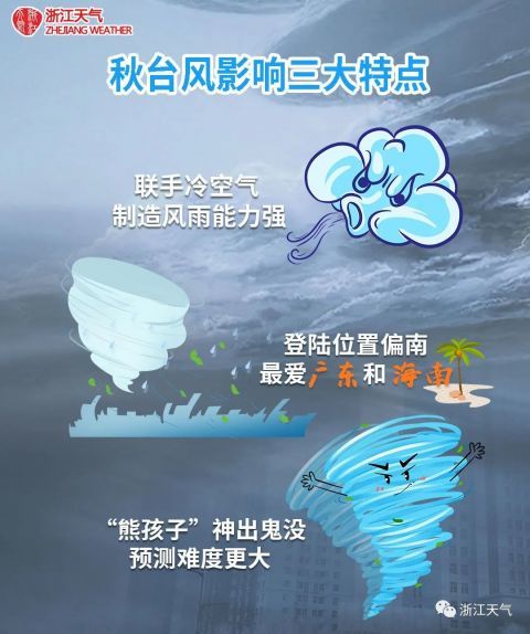 浙江台风最新动态，风雨中的励志故事与自信成就感的交响曲