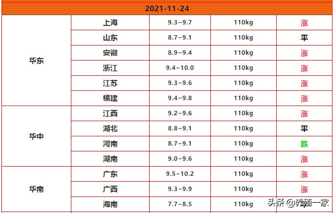 科技引领未来，智能预测重塑生活新篇章下的最新猪价动态