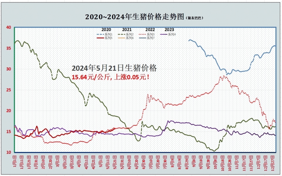 今日最新猪价概览，市场走势分析、影响因素科普与预测