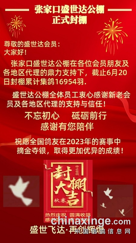 盛世达公棚启航新征程，自信成就未来，最新公告发布