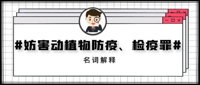 警惕非法色情内容，岛国搬运工网址需远离，法律与道德准则应遵守