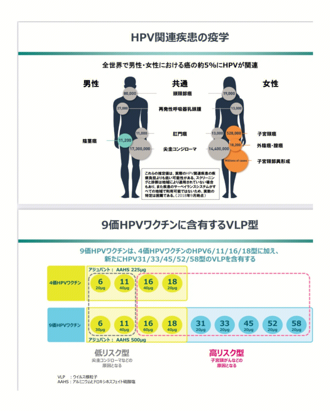 2024年最新最准资料,最新研究解读_HPV77.507奢华版