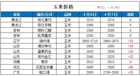 今日玉米最新价格详解，购买指南与步骤