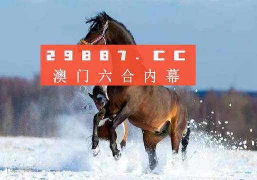 澳门今晚必中一肖一吗,实地验证研究方案_NDA77.801按需版