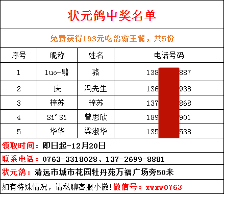 494949开奖历史记录最新开奖记录,快速解答方案实践_RZZ55.526云端版