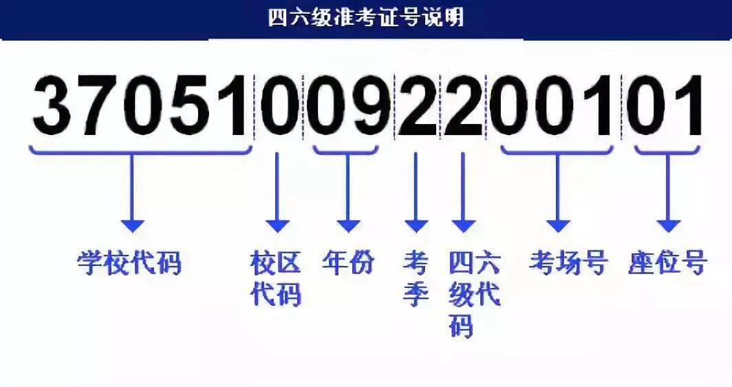 22324濠江论坛com下载22324,担保计划执行法策略_TWQ55.239环保版