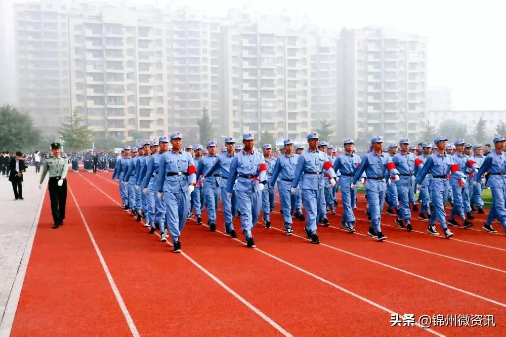 锦州港扬帆起航，港口变革与自信之路的最新消息