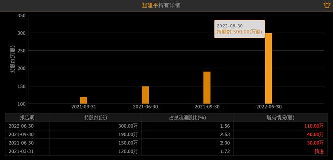 赵建平最新持股揭秘，科技巨擘的新宠高科技产品一览