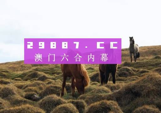 澳门必中一肖一码第一个2024,案例实证分析_UFP78.612旅行版