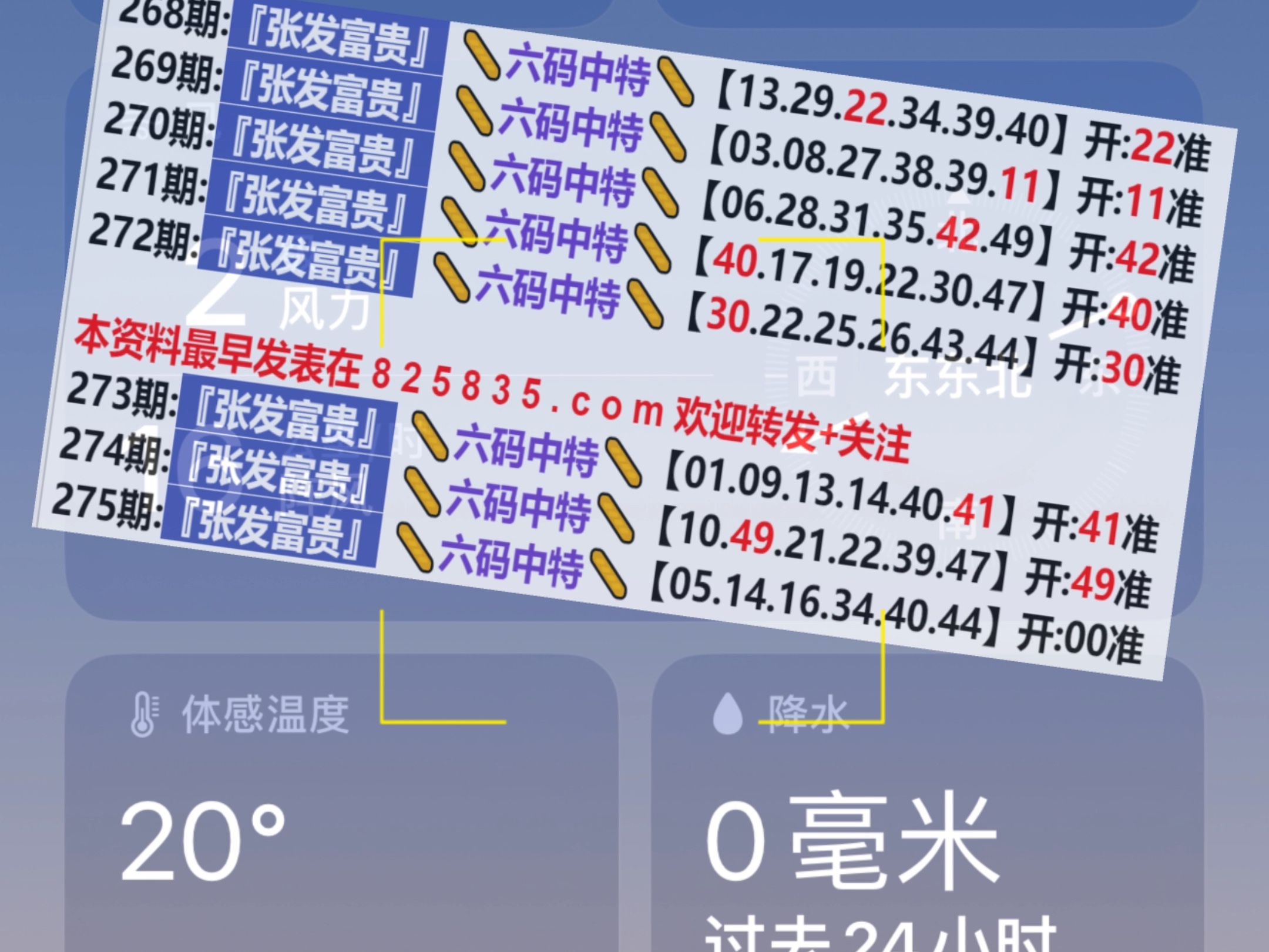 2024新奥资料免费49图库,实地观察数据设计_RGH78.920内含版，62449免费资料中特