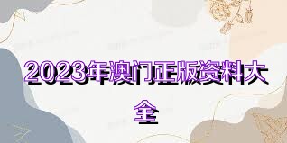 澳门资料大全正版资料2023年免费,策略调整改进_GQB81.488极速版