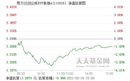 关于基金净值查询的最新资讯，今日探讨110022基金净值更新情况