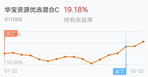 今日最新净值揭晓，探索自然美景之旅与519069基金净值携手探寻内心宁静之道