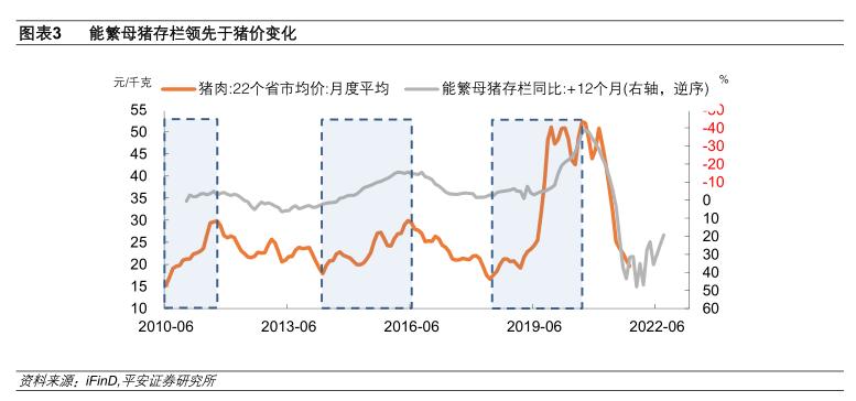 全国最新猪价分析与展望，趋势解读及预测报告