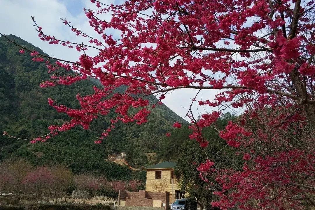 富士山最新动态，自然之旅的呼唤，探寻内心平和与宁静的圣地