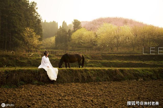 乡村乱情，心灵之旅与自我发现的感人篇章