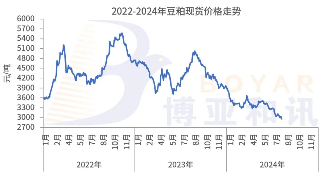 豆粕最新消息🌟更新速递