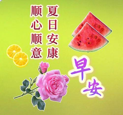 早上好最新祝福图片,早上好最新祝福图片制作指南