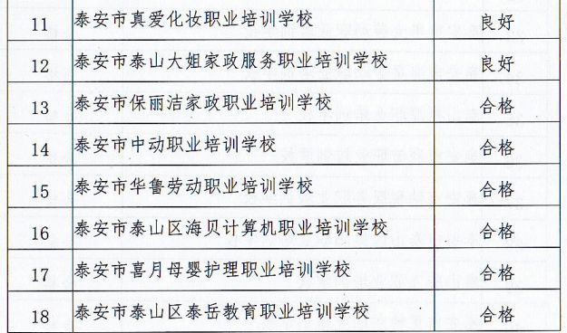 涉黄警示教育片，小巷中的隐藏风险与探索之旅