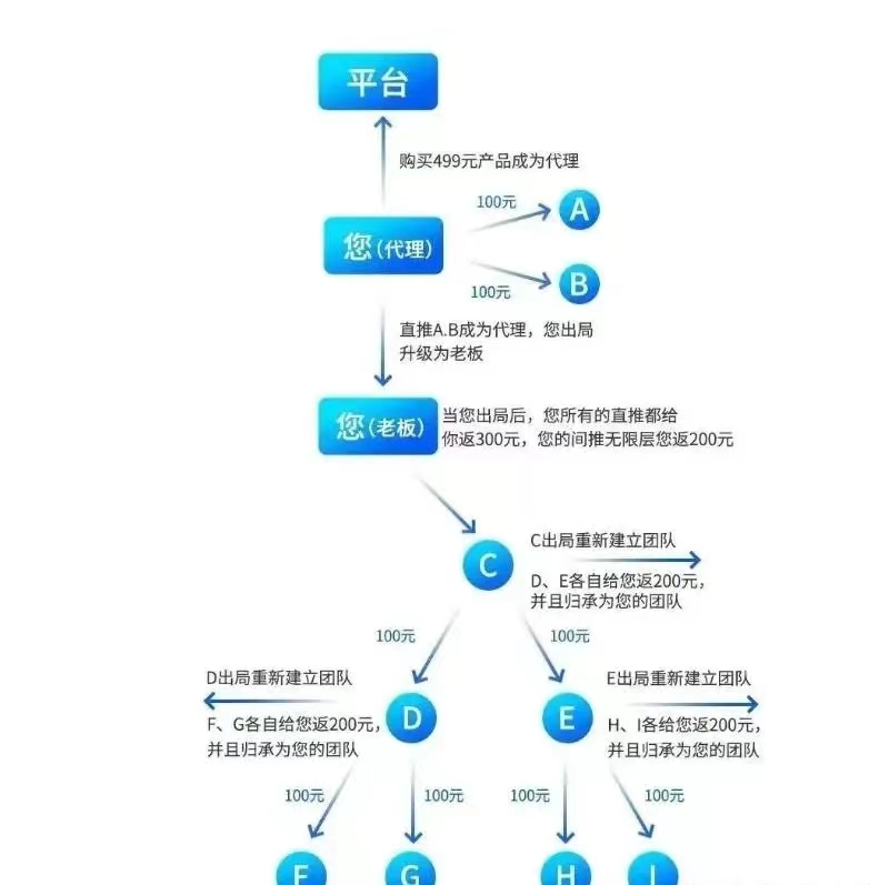 2024年12月6日 第115页