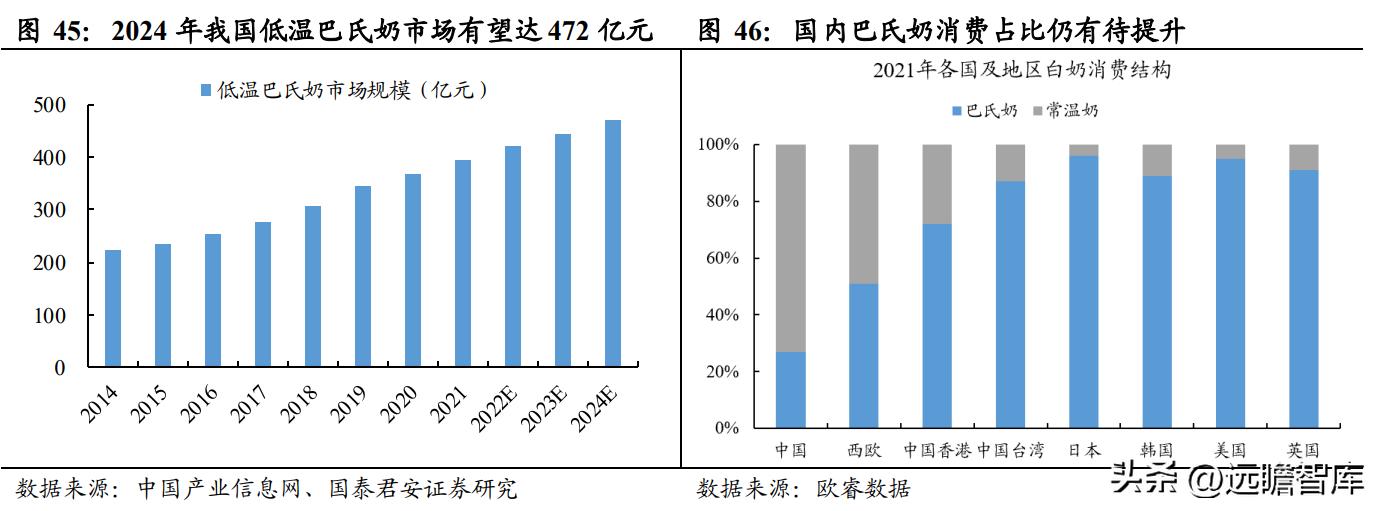 800图库免费资料大全2024：高效执行方案_变革版XVH53.472