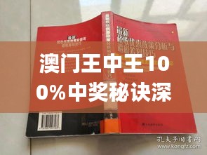 新澳门王中王100%期期中，行动规划执行_移动版XEA62.361