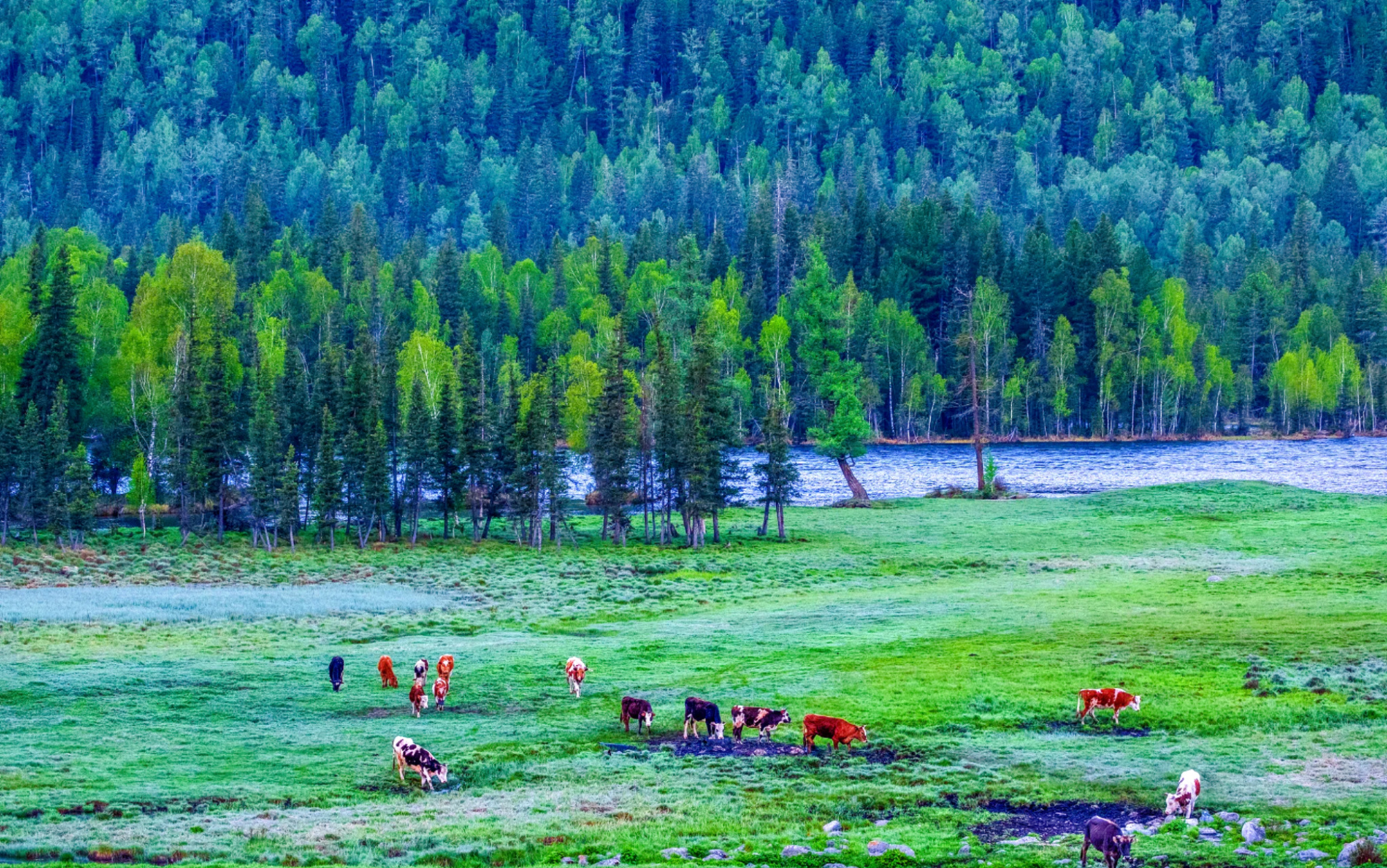 热久久免费最新视频,探索自然美景的旅行，热久久免费最新视频带你领略大自然的魅力