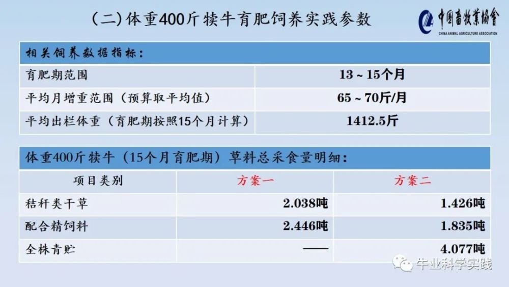 新澳天天开奖资料大全三中三，实践数据分析评估_感知版YBO16.549