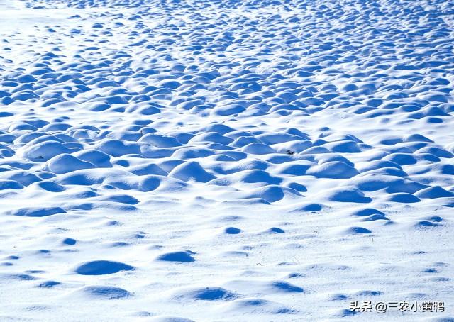 河南今日最新天气预报