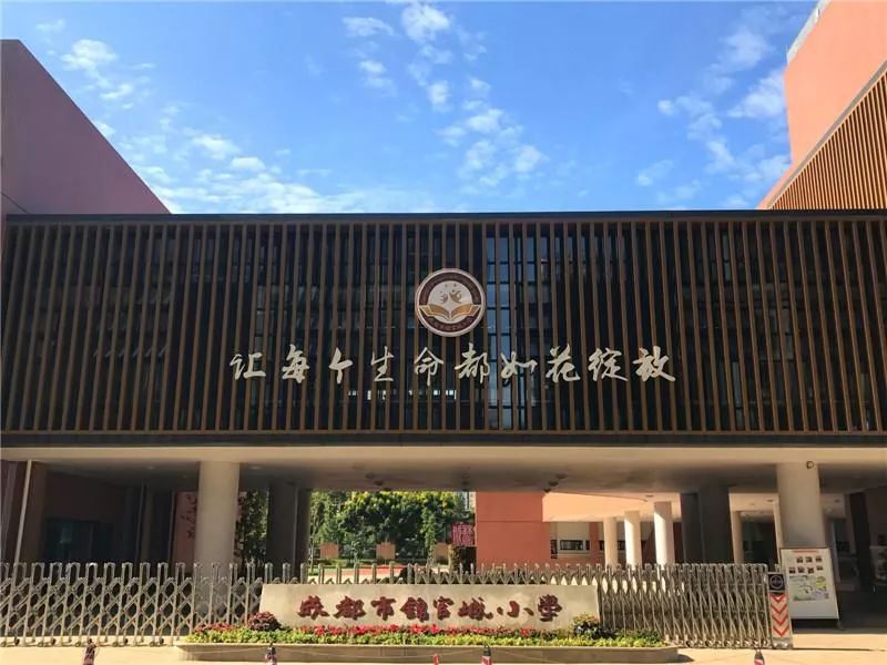 成都大学最新事件，科技新品引领未来生活新潮！