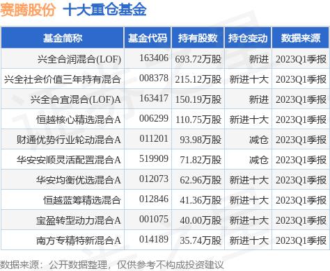 赛腾股票最新价，小巷深处的独特投资故事揭秘