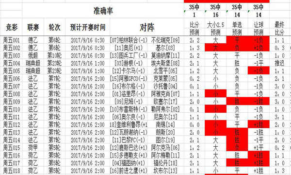 024天天彩资料概览